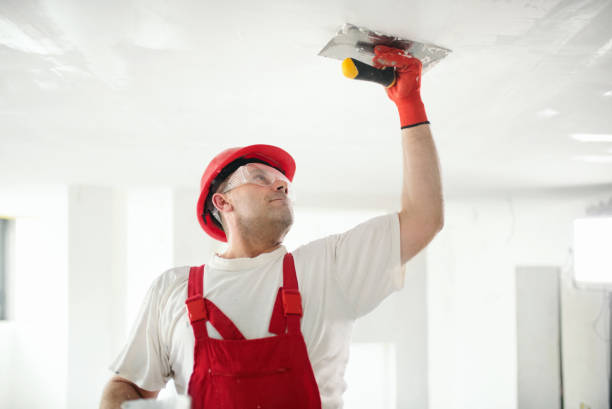 Best Water-Damaged Drywall Repair  in Normandy, MO